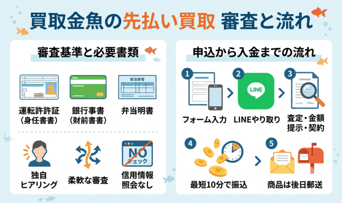買取金魚の先払い買取の審査基準と申込の流れ